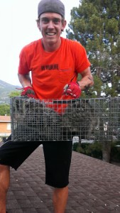 South Ogden Utah Animal Removal