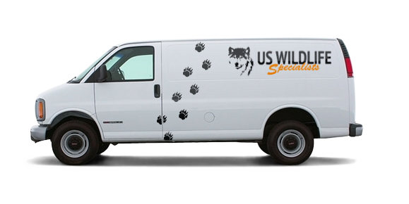 Our Service Van