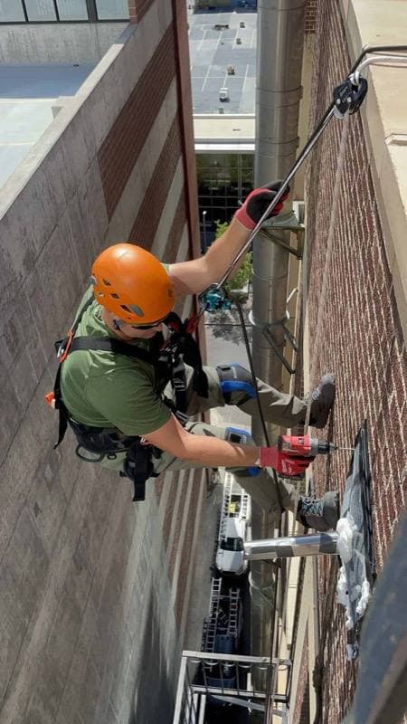 Utah Wildlife Specialists technician removing a bat colony