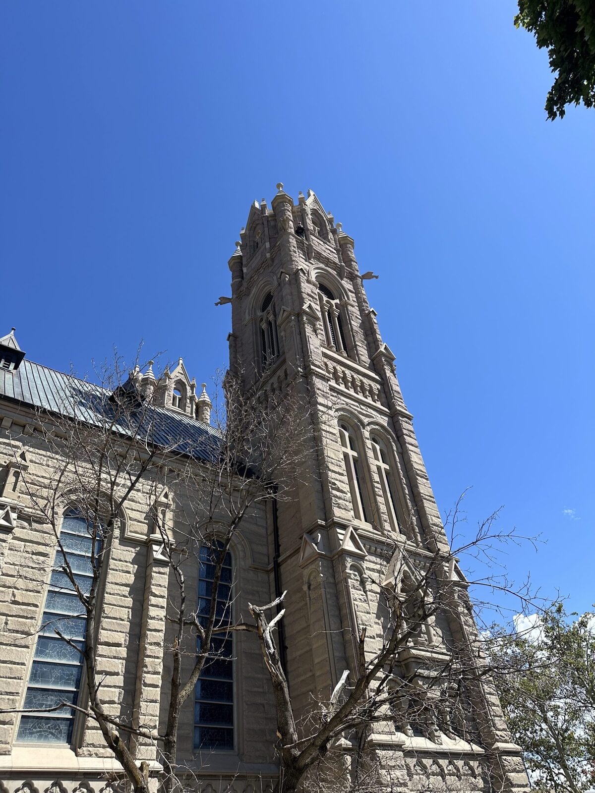 Wildlife technician performing bat exclusion work high on a commercial bell tower.