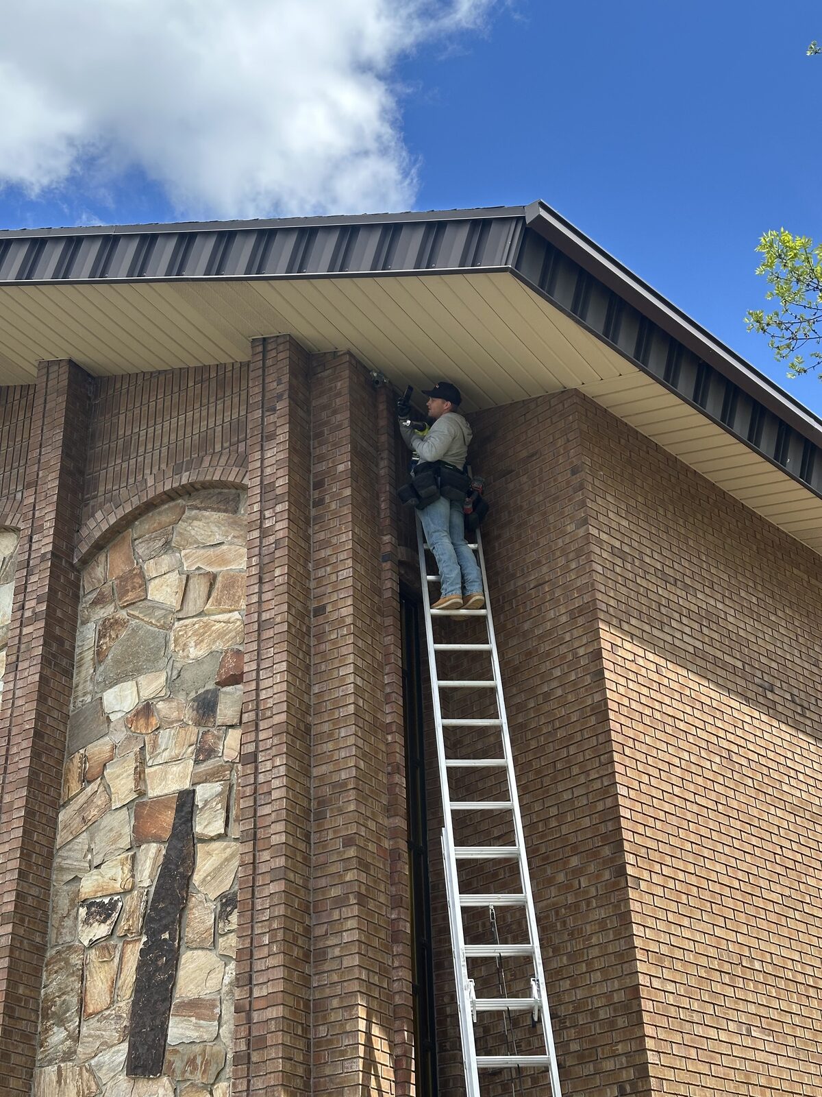Wildlife technician on a ladder sealing a building gap during bat exclusion work.