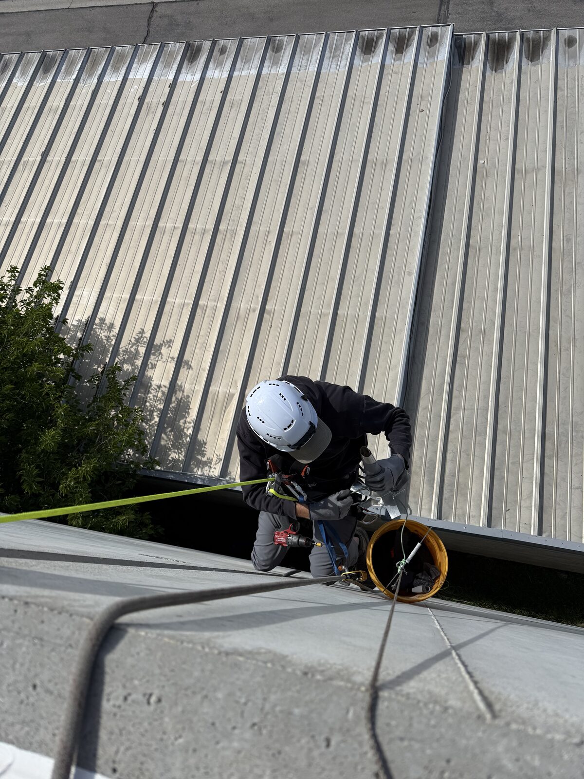 Technician repairing a high-rise bat entry opening