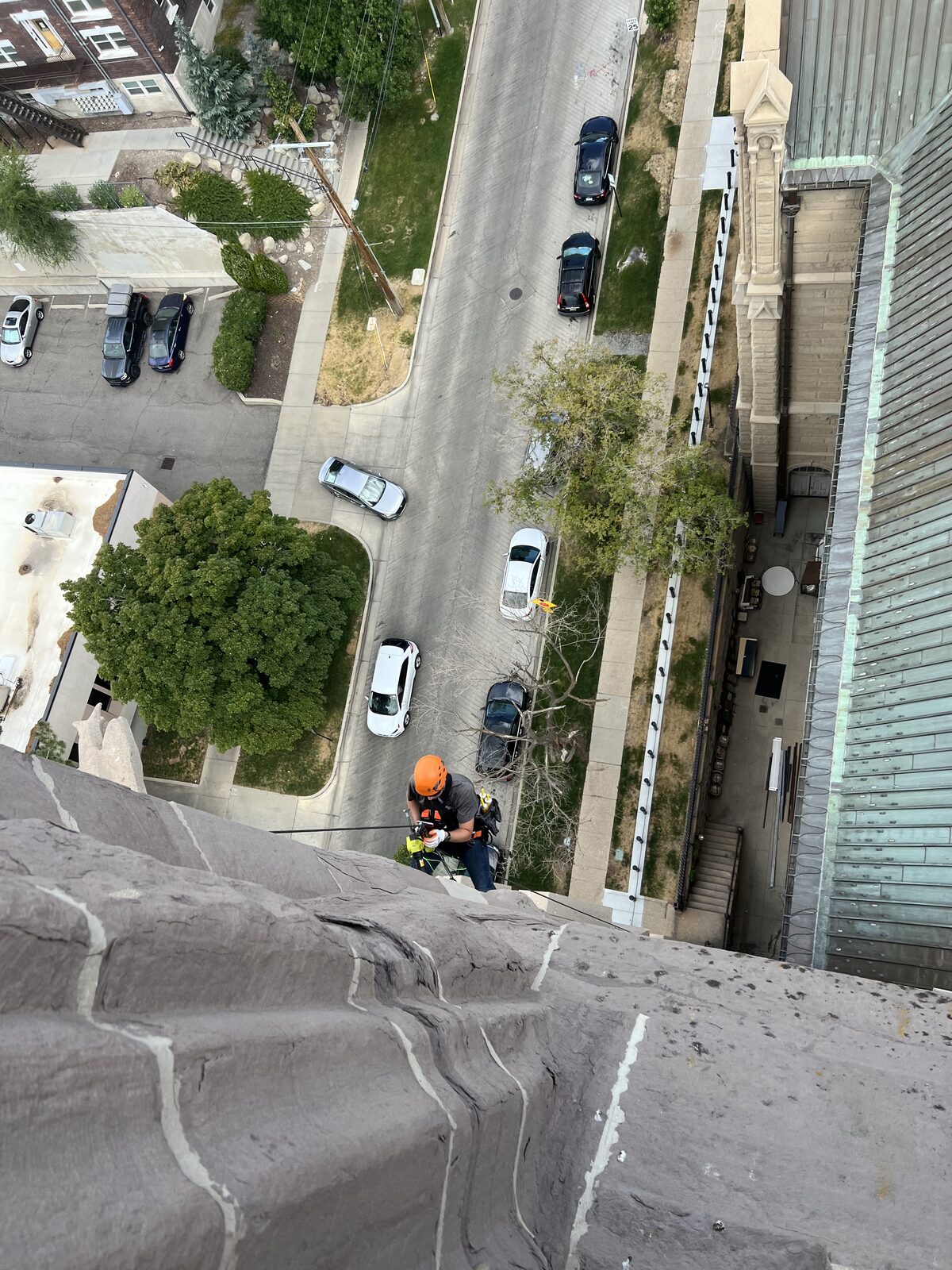 Technician inspecting an upper wall during a Utah bat exclusion