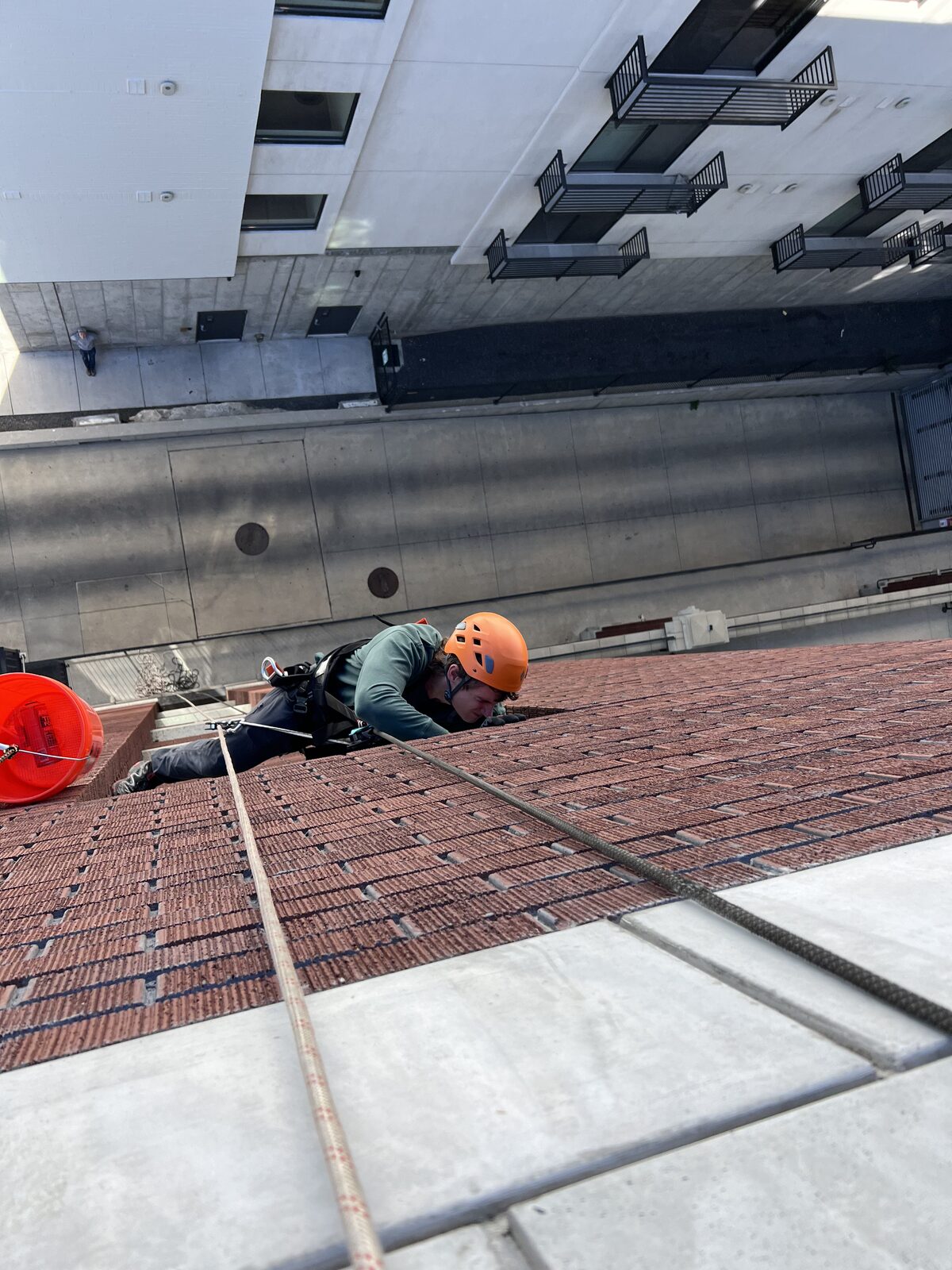 Rope technician checking brickwork for bat entry points