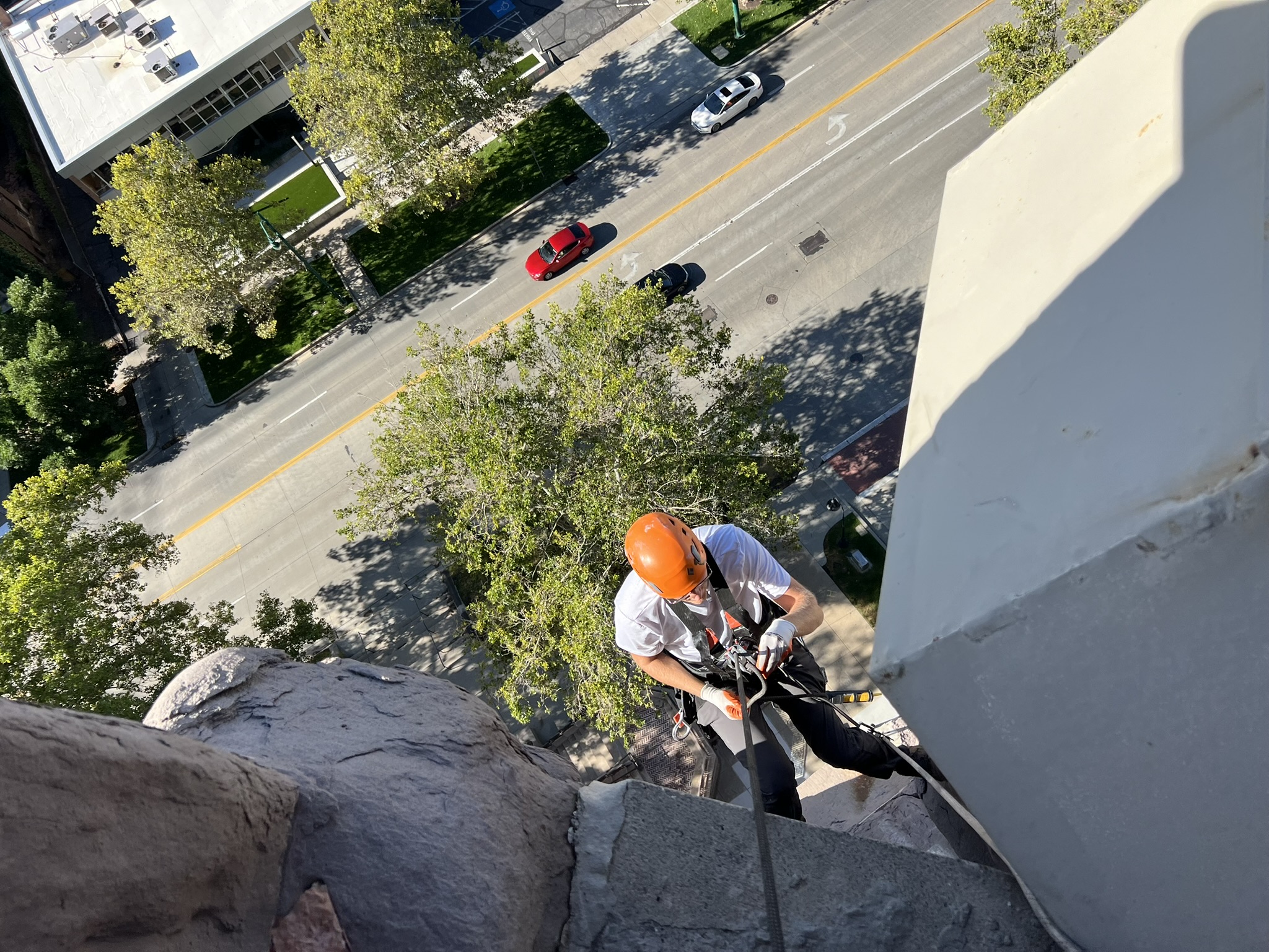 Wildlife Specialist at Work